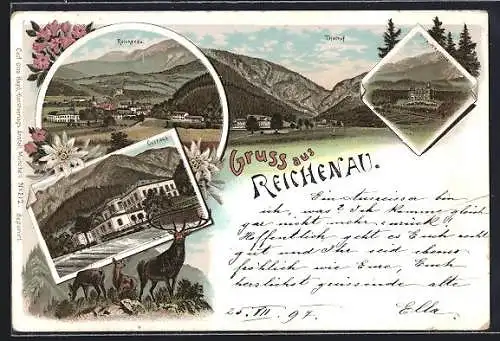Lithographie Reichenau /Rax, Ortsansicht, Kurhaus, Villa Wartholz