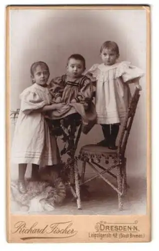 Fotografie Richard Fischer, Dresden, Leipzigerstr. 42, Drei Kinder auf einem Stuhl