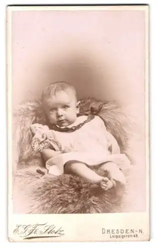 Fotografie E. G. Friedrich Stotz, Dresden, Leipzigerstr. 49, Kleinkind auf Fellunterlage