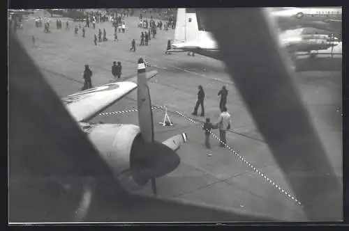 Fotografie Flughafen Berlin-Tempelhof, Blick aus Flugzeug Handley Page HP.67 Hastings TG503 am Tag der offenen Tür