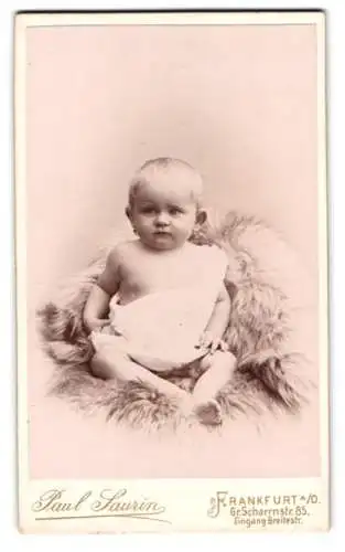 Fotografie Paul Saurin, Frankfurt a. O., Gr. Scharrnstr. 85, Porträt eines kleinen Kindes