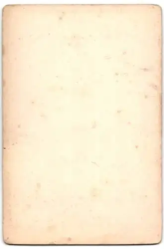 Fotografie Franz Hanfstaengl, München, Gemälde: Laura, nach F.A. v. Kaulbach