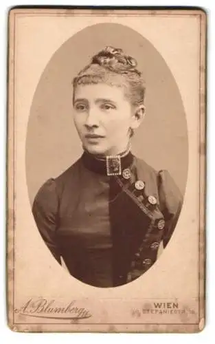 Fotografie A. Blumberg, Wien, Stefaniestrasse 12, Porträt einer Dame im eleganten Kleid mit Brosche