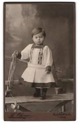 Fotografie Hans Ohrner, Blumenthal in Han., Weserstrasse 11, Knabe Karl Heinz Krepp in traditioneller Kleidung, 1910