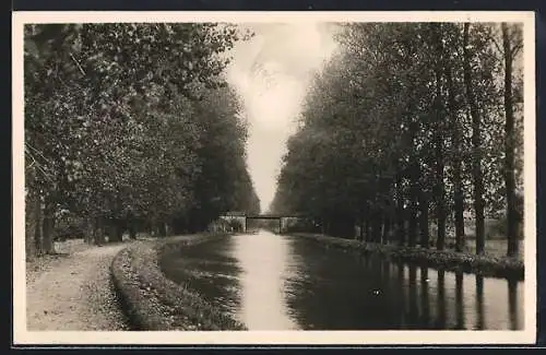 AK Lézinnes /Yonne, Le Canal entouré d`arbres avec un pont à l`horizon