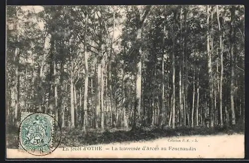 AK Fournaudin, Forêt d`Othe, La traversée d`Arces au Fournaudin