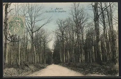 AK Arces, La forêt de Chapitre