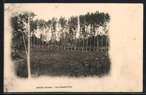 AK Arces /Yonne, Les Grands Prés
