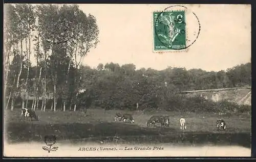AK Arces /Yonne, Les Grands Prés