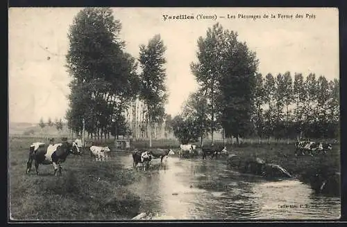 AK Vareilles /Yonne, Les Pâturages de la Ferme des Prés