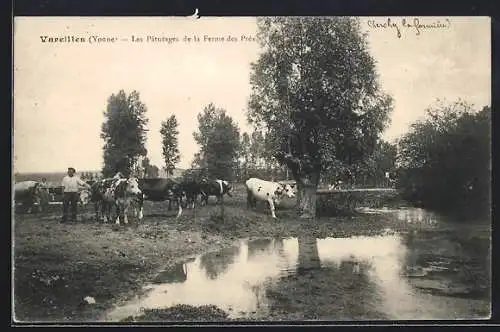 AK Varennes /Yonne, Les Pâturages de la Ferme des Prés