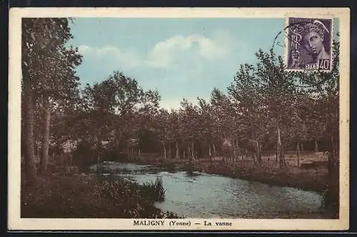 AK Maligny /Yonne, La vanne