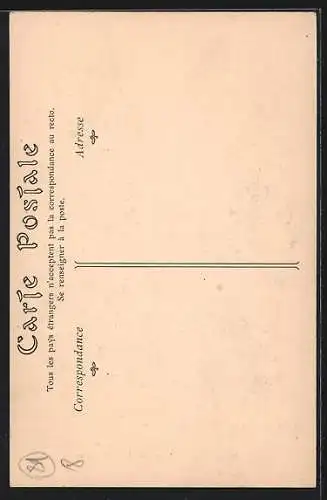 AK Saint-Bris /Yonne, Porte Renaissance