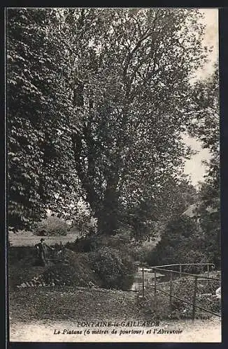 AK Fontaine-la-Gaillarde, Le Platane et l`Abreuvoir