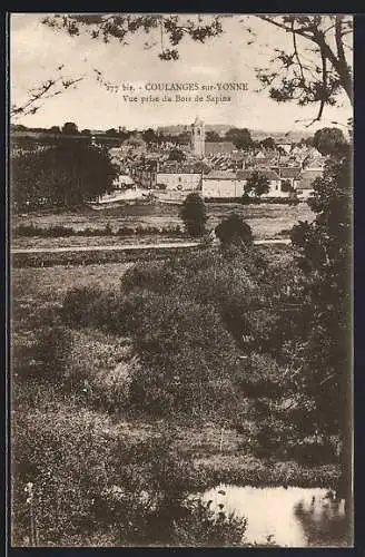 AK Coulanges-sur-Yonne, Vue prise du Bois de Sapins
