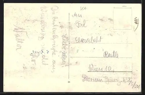 AK Wieselburg a. d. Erlauf, Jugenderholungsheim, Gebäude mit Parkanlage und Becken