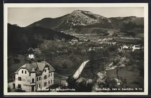 AK Grünbach /N. Ö., Gasthof zur Schubertlinde mit Strasse, Ortsansicht und Bergpanorama aus der Vogelschau