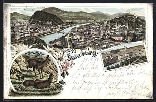 Lithographie Salzburg, Stadtbrücke mit elektrischem Aufzug, Bergziegen, Totalansicht mit Bergen