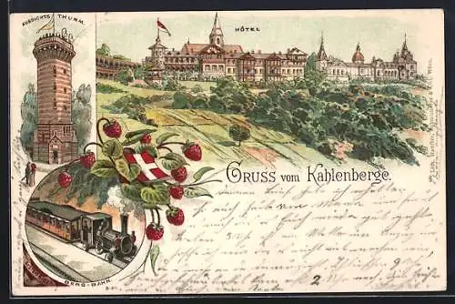 Lithographie Wien, Kahlenberg, Hotel, Aussichtsturm, Bergbahn