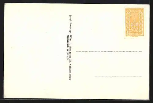 Künstler-AK Pulkau /N.-Oe., Teilansicht mit Kirche und Strassenpartie