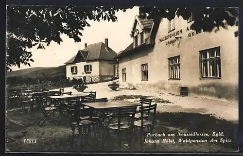 AK Purbach am Neusiedlersee, Waldpension Am Spitz von Johann Hölzl