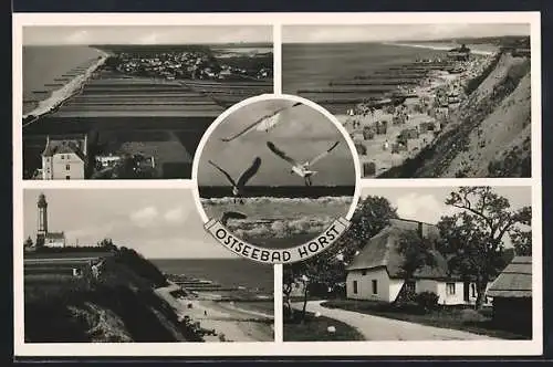 AK Horst, Strandpartie, Gebäudeansicht, Leuchtturm, Möwen