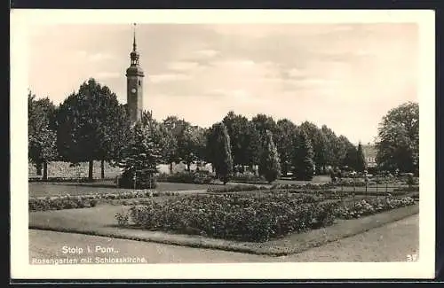 AK Stolp i. Pom., Rosengarten mit Schlosskirche