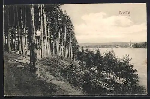 AK Pyynikki, Pavillon am Steilhang über See