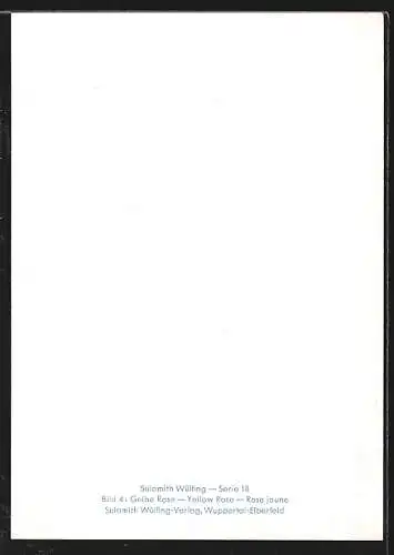 Künstler-AK Sulamith Wülfing: Gelbe Rose