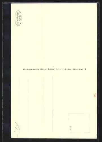 AK Bad Flinsberg /Isgb., Der Hasenstein, Restaurant und Aussichtsturm