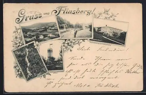 Vorläufer-AK Flinsberg, 1895, Leopolds-Bad, Ludwigs-Bad, Hasenstein, Wasserfall