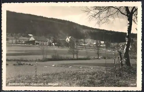 AK Querbach i. Isergeb., Ortspartie gegen den Berghang
