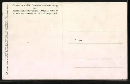 AK Dresden, Obstbau-ausstellung, Pfirsichsorte Eisener Kanzler