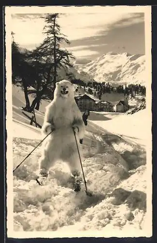 AK Obergurgl, Ortspartie im Winter mit Skiläufer im Eisbärenkostüm