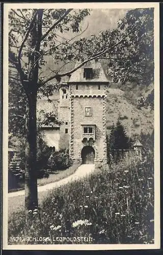 AK Eisenerz, Schloss Leopoldstein, Ansicht mit Eingangstor
