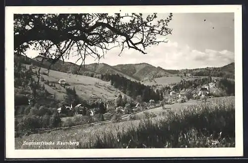 AK Kaumberg, Ortsansicht mit Umgebung