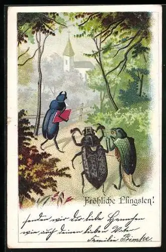 Lithographie Maikäfer und Hirschkäfer unterwegs zum Gottesdienst in Frühlingsidylle, Pfingstgruss