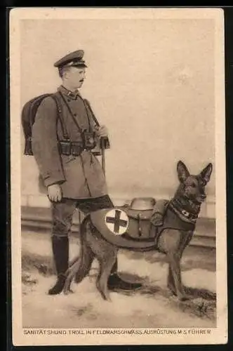 AK Sanitätshund Troll in Feldmarschmäss. Ausrüstung M. S. Führer