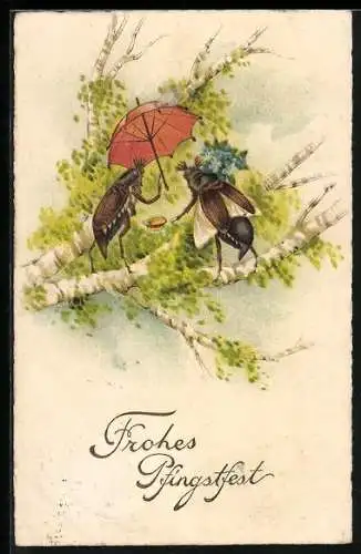 AK Maikäferpaar mit Schirm und Blumenstrauss auf einer Birke, Pfingstgruss