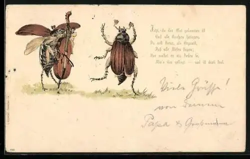 Lithographie Jetzt, da der Mai gekommen ist..., Tanzender Maikäfer