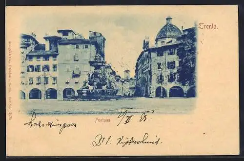 AK Trento, Fontana