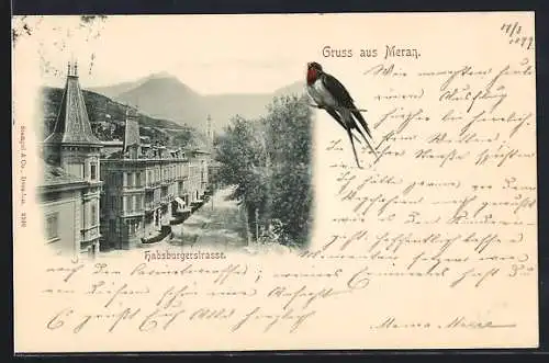 AK Meran, Habsburgerstrasse aus der Vogelschau, Vogel