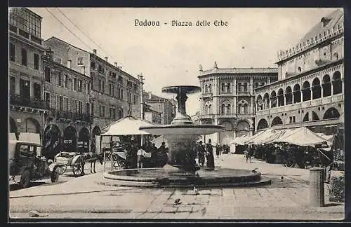 AK Padova, Piazza delle Erbe mit Marktständen, Pferdegespann