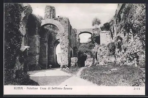 AK Roma, Palatino, Casa di Settimio Severo