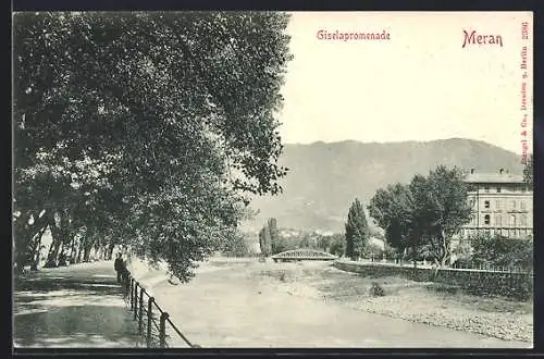 AK Meran, Flusspartie mit Giselapromenade