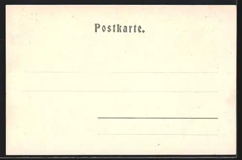 AK Meran, Flusspartie mit Giselapromenade