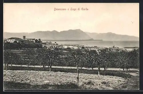 AK Desenzano /Lago di Garda, Panorama
