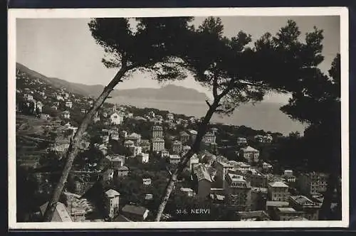 AK Nervi, Panorama