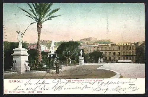 Künstler-AK Napoli, Villa Nazionale e Castel S. Elmo