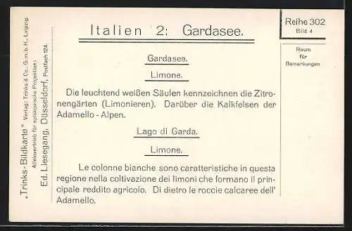 AK Limone /Gardasee, Zitronengärten mit weissen Säulen